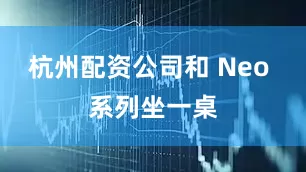 杭州配资公司和 Neo 系列坐一桌
